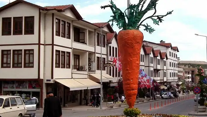 Beypazarı havucu küresel pazarlarda tanıtılacak!