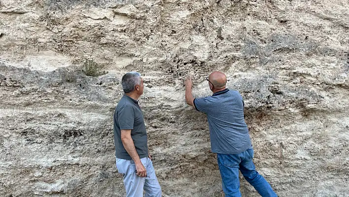 Bilim İnsanları Kayseri'de Yeni Fosilleri Gün Yüzüne Çıkardı!