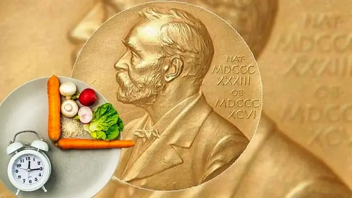 Bilim onayladı! Nobel ışığında orucun faydaları