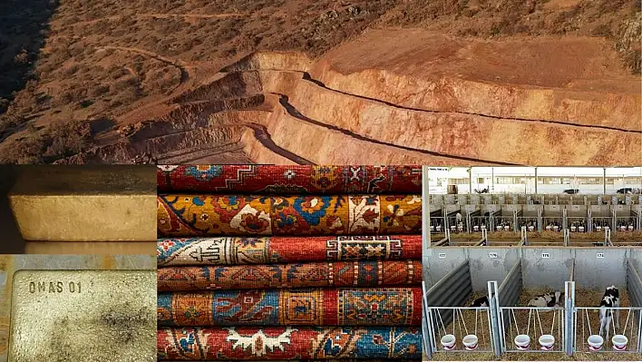 Bir ilçenin sessiz dönüşümü: Sarayın gölgesinden cevherin kalbine!