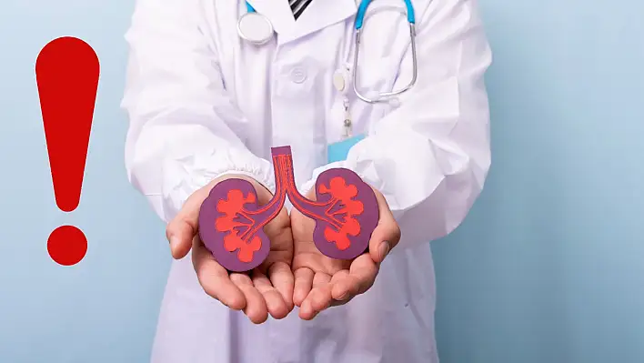Böbrek sağlığını korumak için nelere dikkat edilmeli? İşte altın değerinde öneriler…