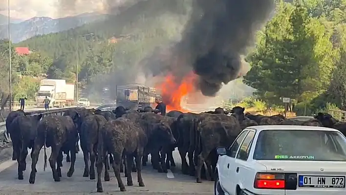 Adana'da tır alev alev yandı!