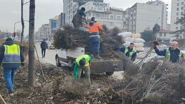 Büyükşehir daha yeşil bir kent için çalışıyor