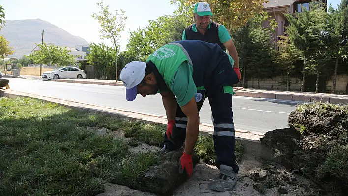 Büyükşehir'den çim alan ve sulama sistemi çalışmaları