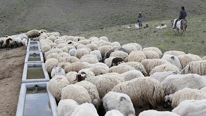 Büyükşehir'den Pınarbaşı'ya büyük hizmet!