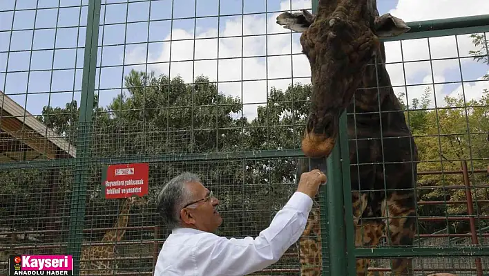 Hayvanat Bahçesi'ne 1 yılda toplam 375 bin ziyaretçi