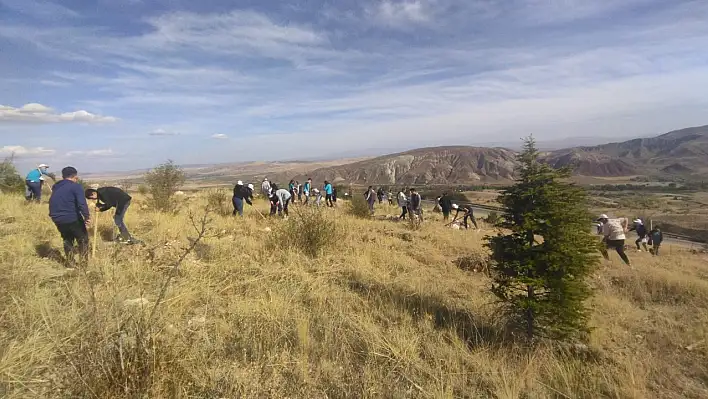 Büyükşehir, ilçeleri 22 bin fidan ile buluşturacak