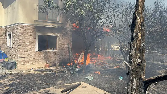 Çanakkale'de orman yangını devam ediyor - Villalar, arabalar kül oldu!