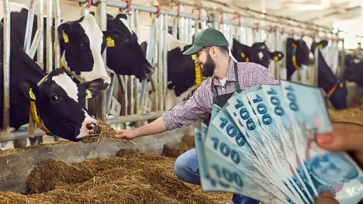 Çiftçiler dikkat! Hayvancılık Destek Projesinde askı süreci başladı!