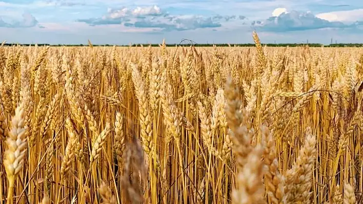 ÇKS 2026 başvuruları 1 Eylül'de başlıyor!