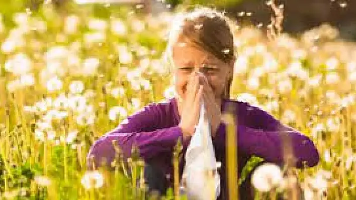 Çocuklarda polen alerjisi
