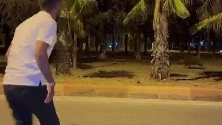 Çukurova Üniversitesi'nin yapamadığını vatandaş havlayarak yaptı!