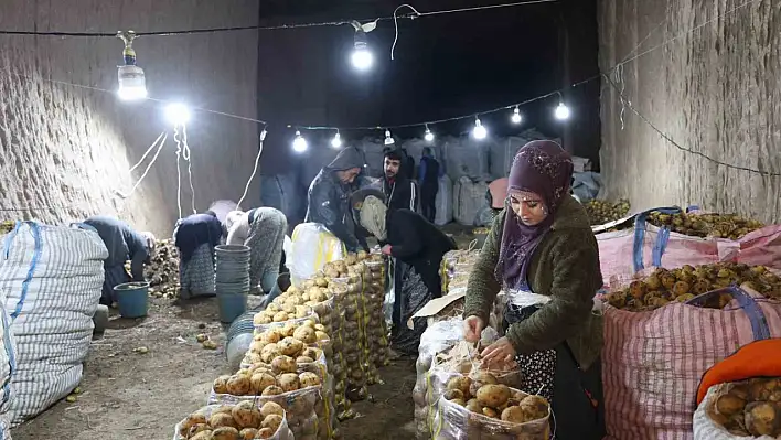 Cumhurbaşkanı Erdoğan'dan patates talimatı üreticileri umutlandırdı