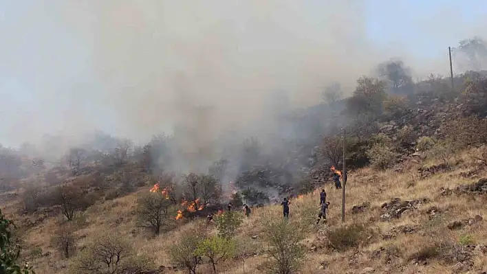 Kayseri'de dağlık alanda yangın çıktı!