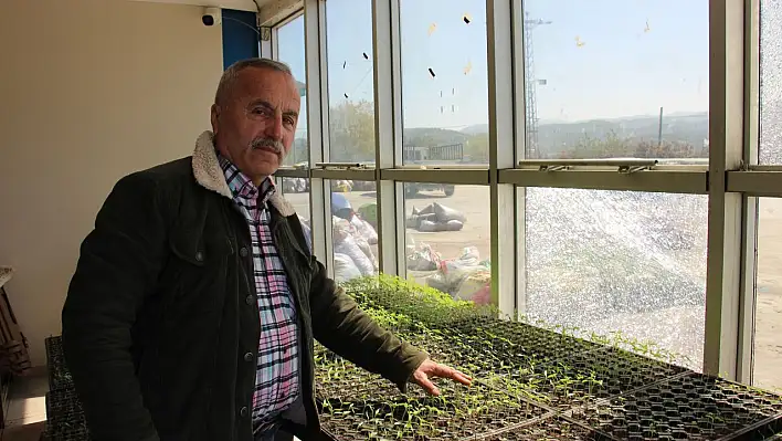 Dedesinden kalma ata tohumlar ile organik tarım yapıyor