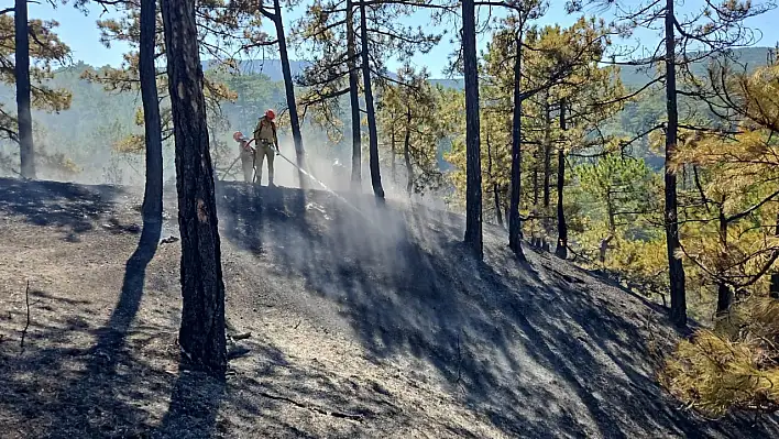 Denizli'deki orman yangınında korkutan tehlike: Son anda engellendi!