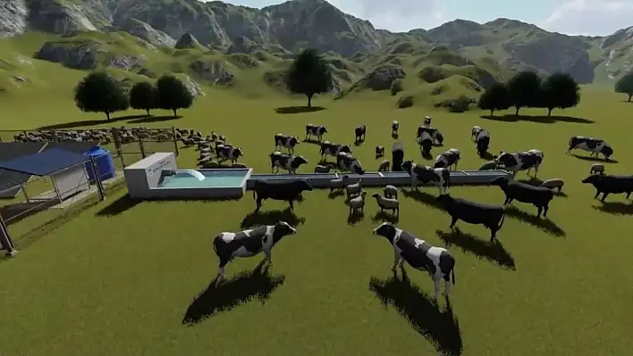 Develi'de 5 bin hayvana hayat verecek proje tamamlandı!