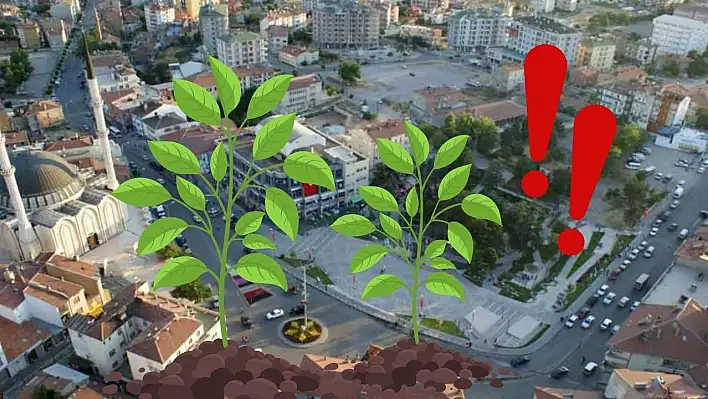 Develi'de bahçeler kıpır kıpır: O fideler meyveye durdu!