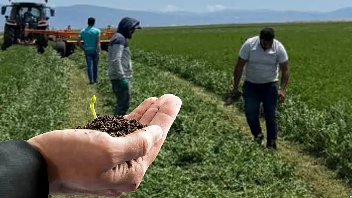 Develi'de mucize: Güçlü olmaz denileni başardı!