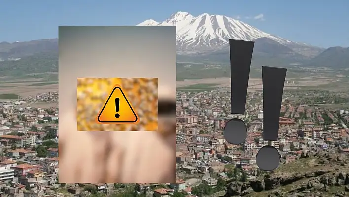 Develi'de zorlu yaşam mücadelesi: Zirvelerde ölümüne mesai!