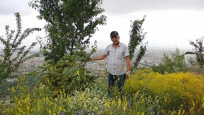 Diktiği fidanlarla Kayseri'yi yeşillendiriyor