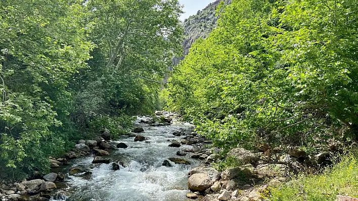 Doğal güzelliği ve büyüleyici manzarasıyla cezbediyor