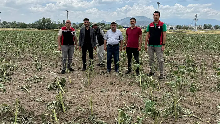 Dolu Kayseri'de Tarlaları Tarumar Etti! – Zarar Gören Mahalleler Açıklandı