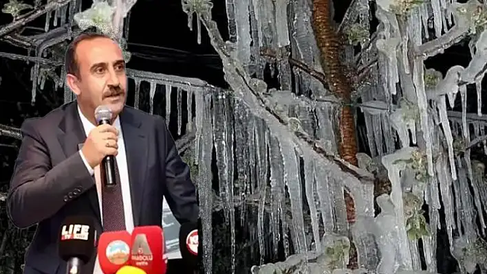 Don olayında İncesu'da meyve ağaçlarının yüzde 90'ı zarar gördü!