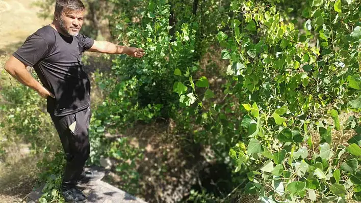 Kanal kapakları kapandı balıklar telef oldu