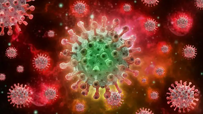 DSÖ'den dikkat çeken uyarı – 6 ülkeye yayıldı!