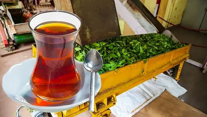 Dünyaca ünlü çay markası, Türkiye'de üretim defterini kapattı!
