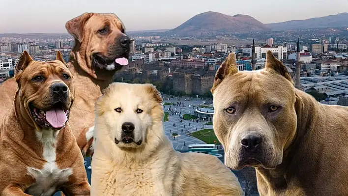 Dünyanın en güçlüsü Kayseri'nin yanı başında!