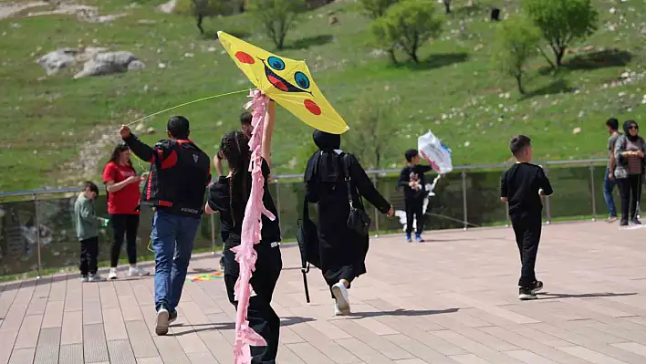 Uçurtma şenliğinde renkli görüntüler oluştu
