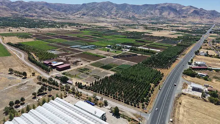 Elazığ'dan Türkiye'ye nefes oluyorlar...