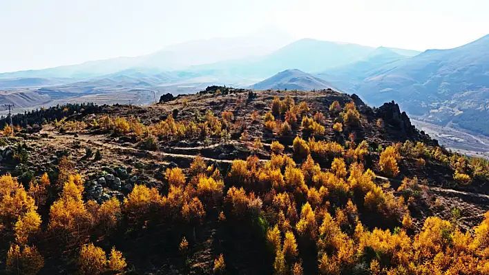 Erciyes'in etekleri sarardı!