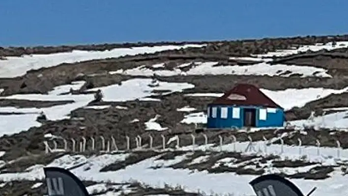 Erciyes'te dağın tepesinde tek başına dikkat çekiyor!