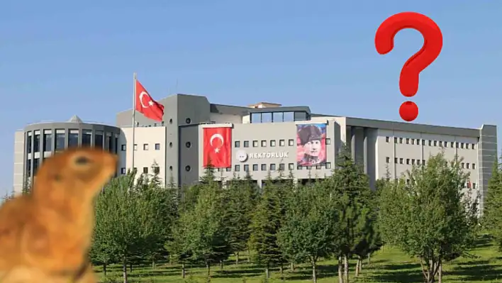 Erciyes Üniversitesi'nde aylar sonra yeniden ortaya çıktılar!