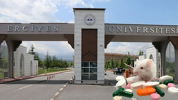 Erciyes Üniversitesi'nde kayıtlar başladı – Konu: deney hayvanları