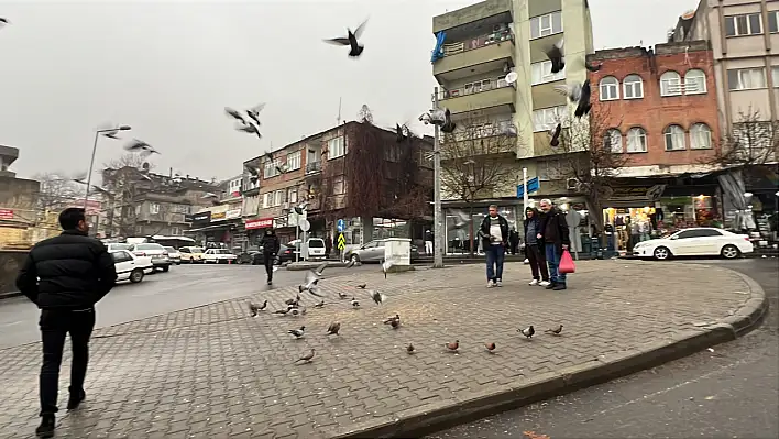 Esnaf yürekleri ısıttı - Minaresi yıkılan caminin güvercinleri gitmesin diye