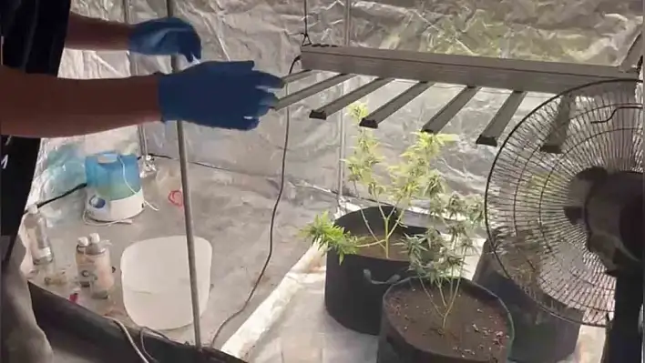 Kiraladığı Evi Uyuşturucu Serasına Çevirdi