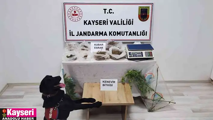 Evinin bahçesinde uyuşturucu üreten şahıs yakalandı