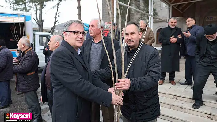 Fidan belediyeden meyve vatandaştan