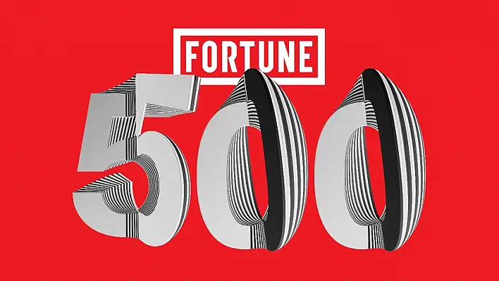 Fortune 500'de hangi Kayserili şirketler var?