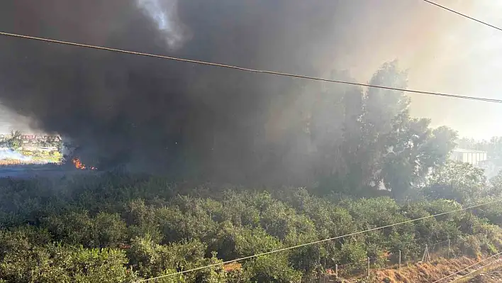 Geri dönüşüm fabrikasındaki yangına havadan müdahale ediliyor