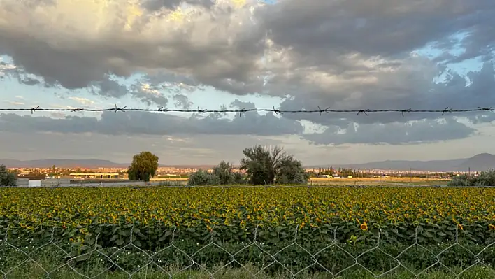 Gesi, Germir, Hisarcık ve Kayseri'nin diğer bahçeleri - Toprağa atın gitsin!