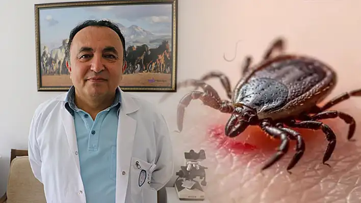 Göçmen kuşlar üzerlerinde Kayseri'ye kene getiriyorlar!