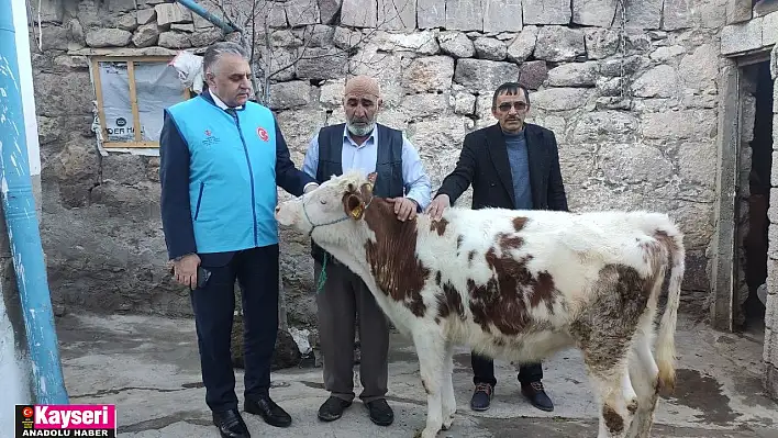 Kayseri'deki çiftçi danasını depremzedelere bağışladı