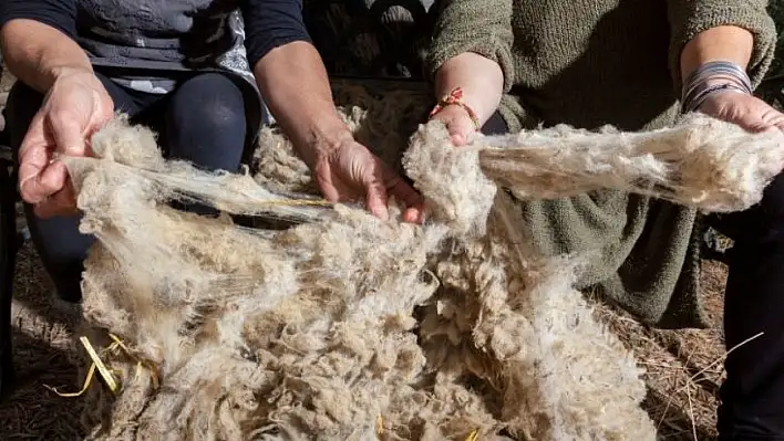Güneşten ve radyasyondan korunmanın en doğal yolu: Yün!