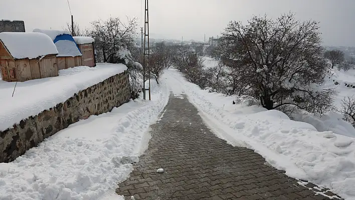 Hacılar'da hamile sığırın doğumu için belediye ekipleri seferber oldu!