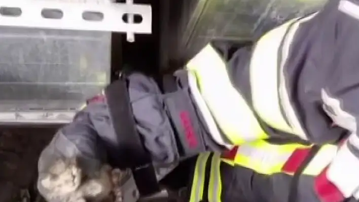 Yavru kedinin yardımına Kayseri İtfaiyesi yetişti!